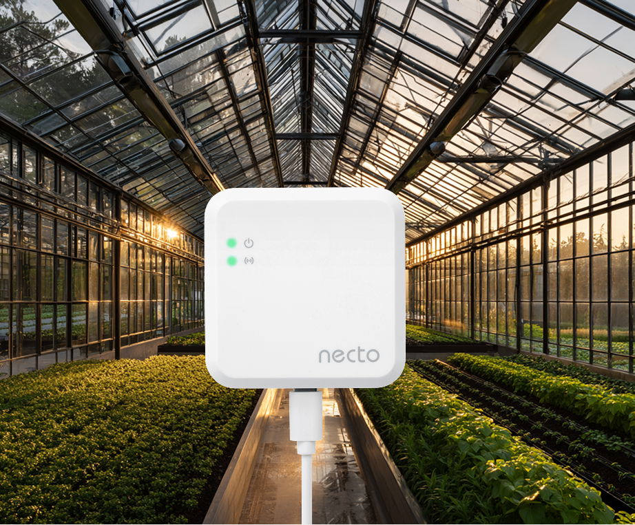 Necto Temperature Monitor